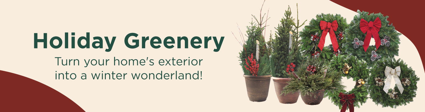 holiday greenery