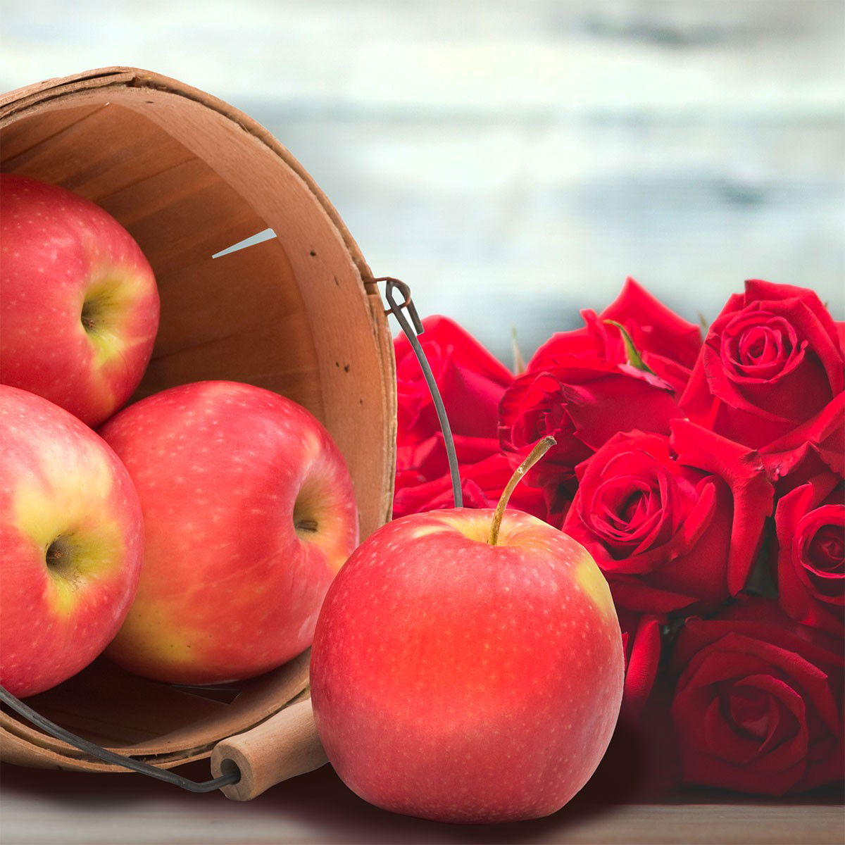 apples in a bucket