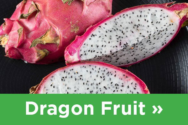 dragon fruit