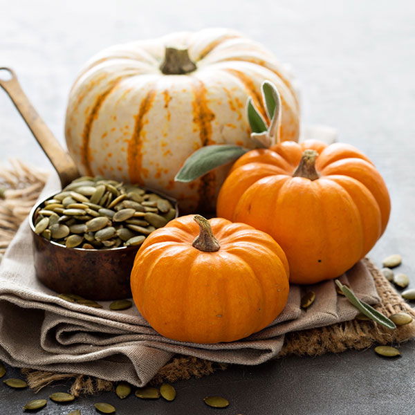 multi-colored pumpkins