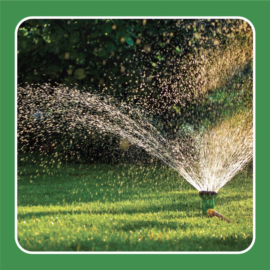 can i save water while caring for my lawn?