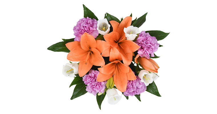 vibrant petals